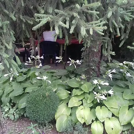 Ljubica Villa